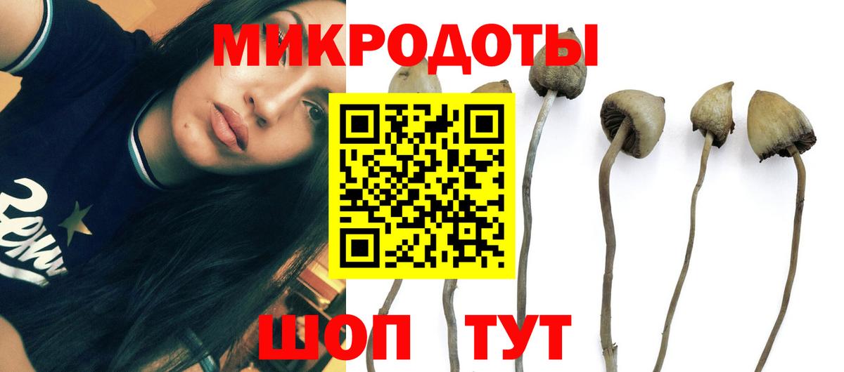 Сарапул  Псилоцибиновые грибы Psilocybe  Вход с VPN  Псилоцибиновые грибы прущие грибы 
